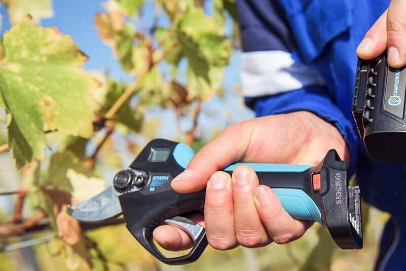 Forbici a batteria per potatura