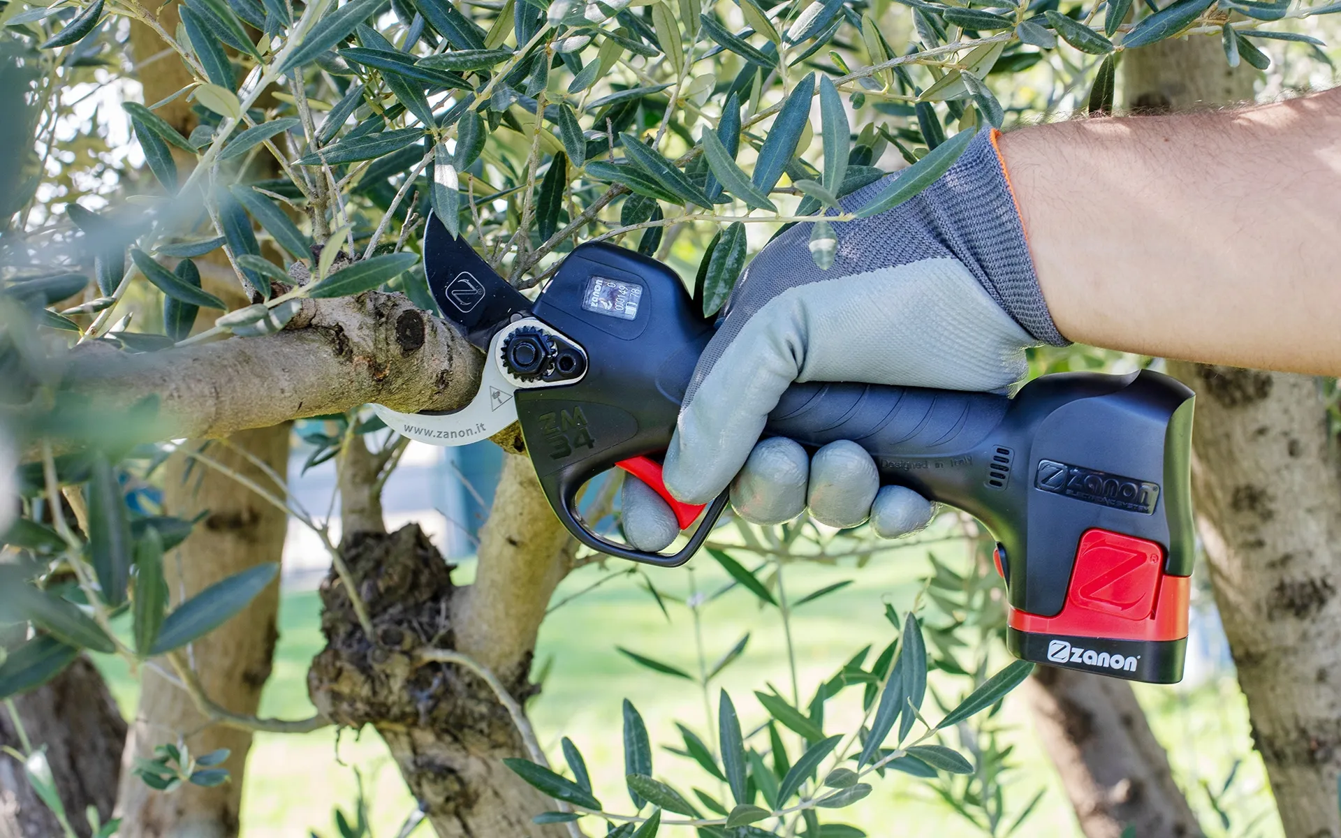 Forbici a Batteria Zanon ZM 34 - immagine 3